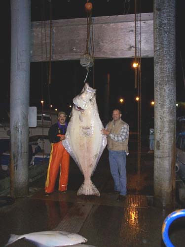 DutchHarborHalibut