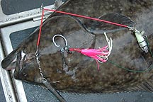 Halibut Fishing tips & tricks for west coast halibut anglers