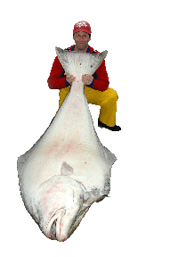 Halibut Fishinig Tackle Store With Quality Halibut Lures and Rods.